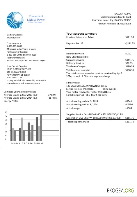 USA Connecticut Light & Power facture de services publics d'électricité aux formats Word et PDF